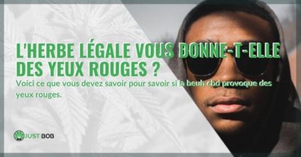 Découvrons si l'herbe légale provoque des yeux rouges