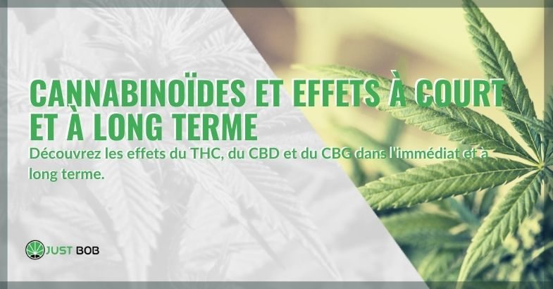 Quels sont les effets si les cannabinoïdes sont pris à court ou à long terme ?