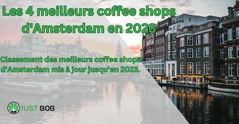 Les 4 meilleurs coffee shops d'Amsterdam en 2023
