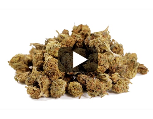 petit-fleurs-cbd-de-GG#4-cbd-boost