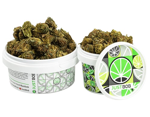 pot-GG#4-cbd-boost-cannabis-cbd-petit