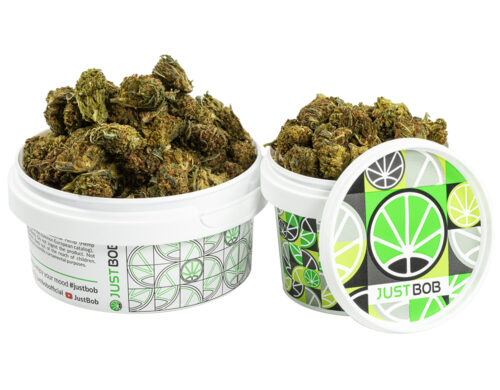 pot avec petit fleurs cbd de GG#4 cbd boost
