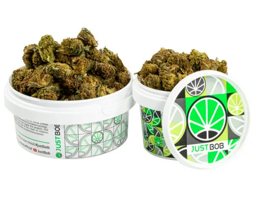 pot avec petit fleurs cbd de GG#4 cbd boost