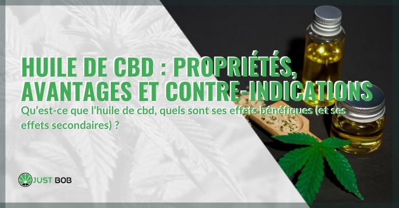 Les avantages, propriétés et contre-indications de l'huile de CBD