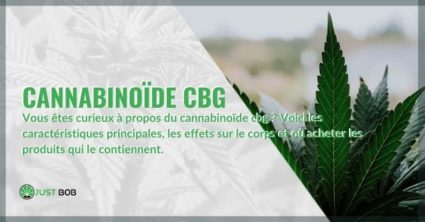 Toutes les propriétés du cannabinoïde CBG