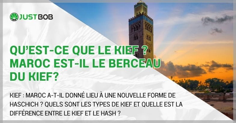 Qu’est-ce que le kief ? Maroc est-il le berceau du kief?