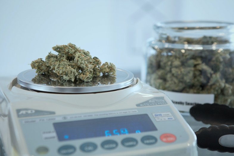 En France désormais, le commerce du cannabis CBD est légal