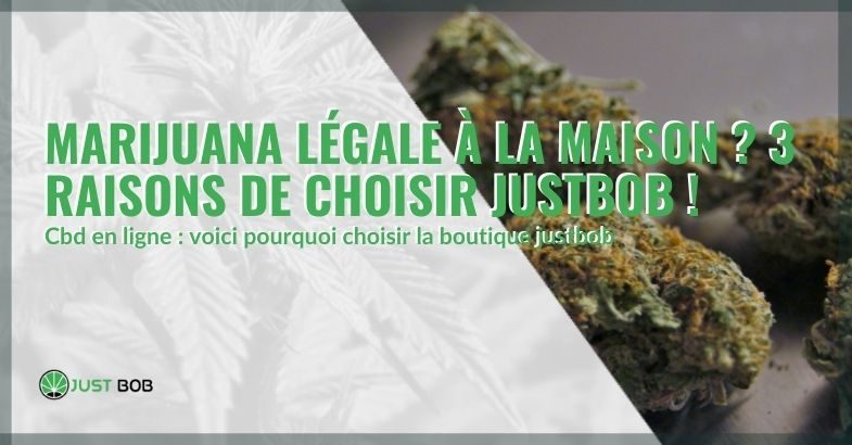 La boutique en ligne de CBD Justbob : 3 raisons de la choisir pour obtenir de la marijuana légale à domicile