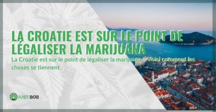 La Croatie est sur le point de légaliser la marijuana : voyons ce qu'il en est