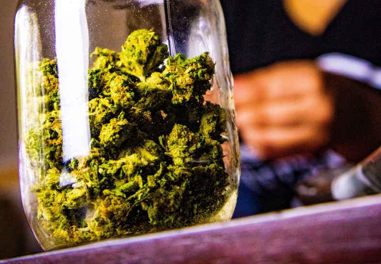 Cannabis à usage thérapeutique avec THC