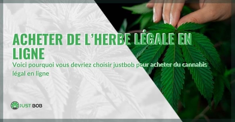 Acheter du cannabis CBD en ligne