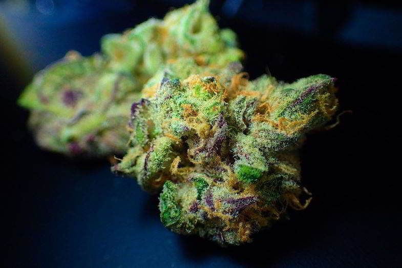 Cannabis avec un bon arôme