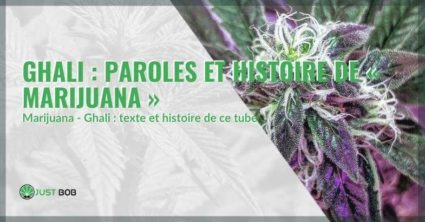 Paroles et histoire de la chanson "Marijuana" de Ghali.