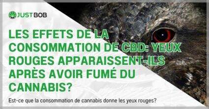 Les effets de la consommation de CBD: yeux rouges