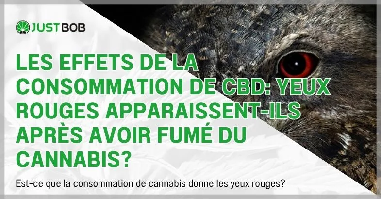 consommation-cannabis-et-yeux-rouges Les effets de la consommation de CBD: yeux rouges