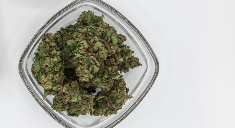 Marijuana Light en ligne sur Justbob