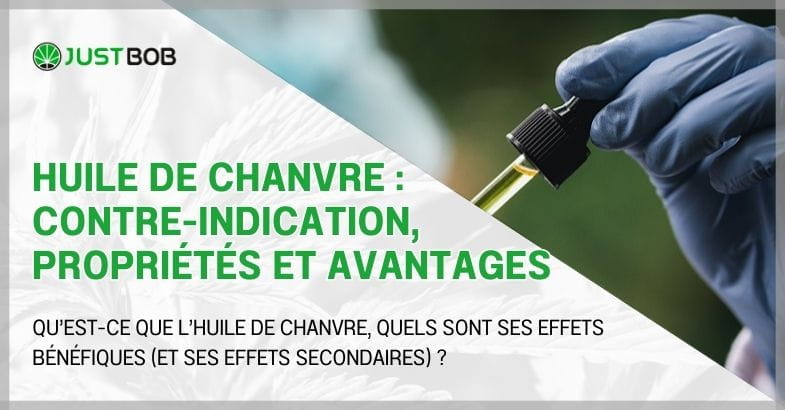 Huile de chanvre : contre-indication, propriétés et avantages