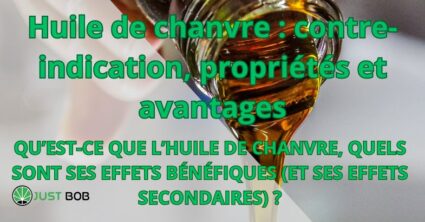 Huile de chanvre : contre-indication, propriétés et avantages