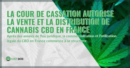 La France peut enfin vendre et distribuer légalement du cannabis CBD