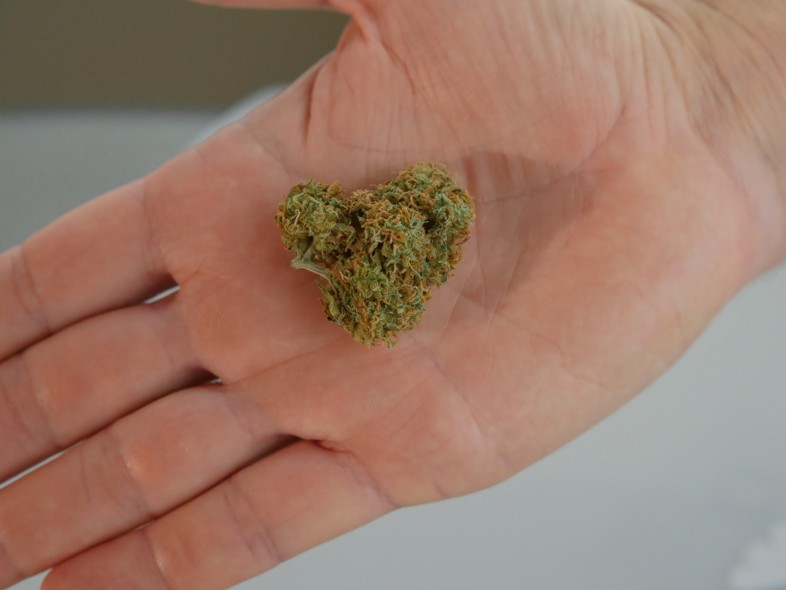La meilleure qualité de marijuana légale