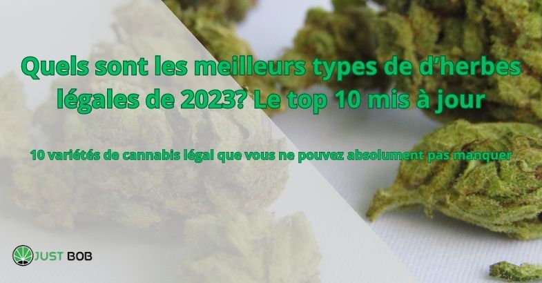 Quels sont les meilleurs types de d’herbes légales de 2023?