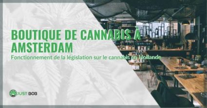 Les coffee shops qui vendent du cannabis à Amsterdam