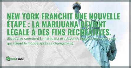 Découvrez comment la marijuana récréative est devenue légale à New York