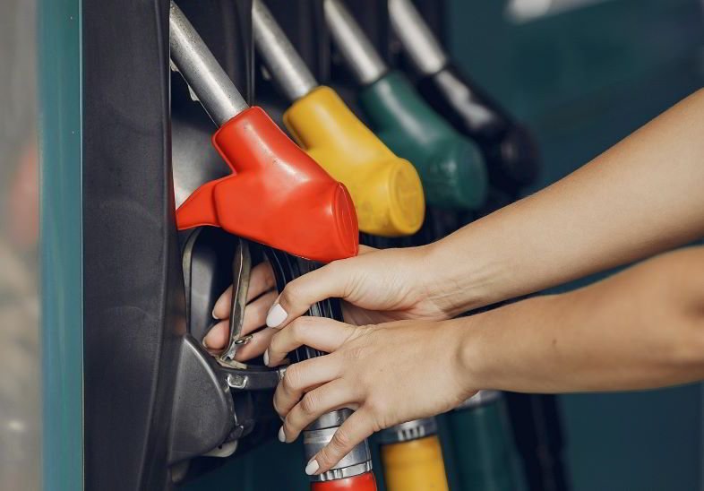 Le chanvre comme combustible écologique