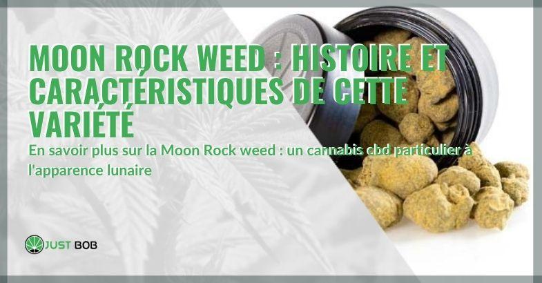 L'histoire et les caractéristiques du cannabis Moon Rock Weed