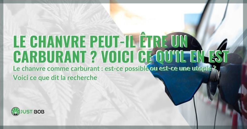 Le chanvre peut-il être utilisé comme combustible ?