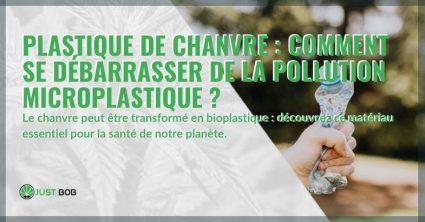 Peut-on se débarrasser de la pollution de l'environnement avec du plastique de chanvre ?