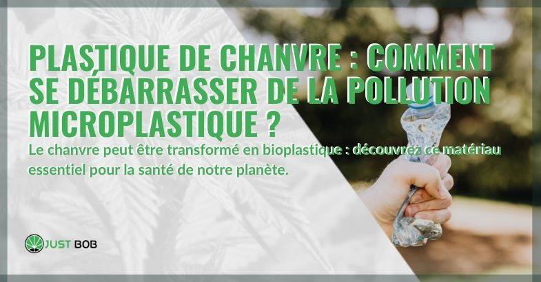 Le chanvre, la plante écolo