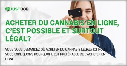 Acheter du cannabis en ligne, c'est possible et surtout légal?