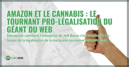 Amazon en faveur de la légalisation du cannabis