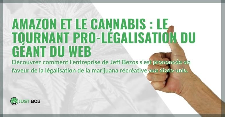 Amazon en faveur de la légalisation du cannabis