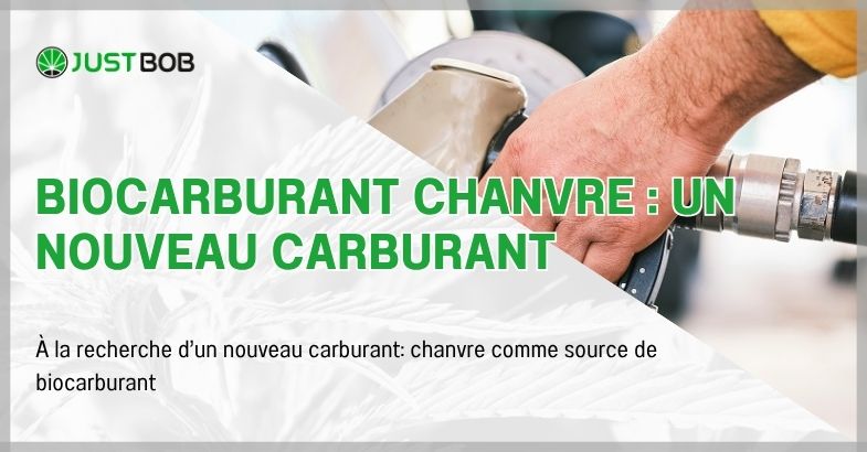 Biocarburant chanvre : un nouveau carburant