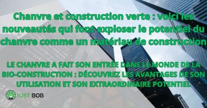 Chanvre et construction verte