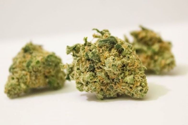 Classement de la meilleure herbe légale Gorilla Glue