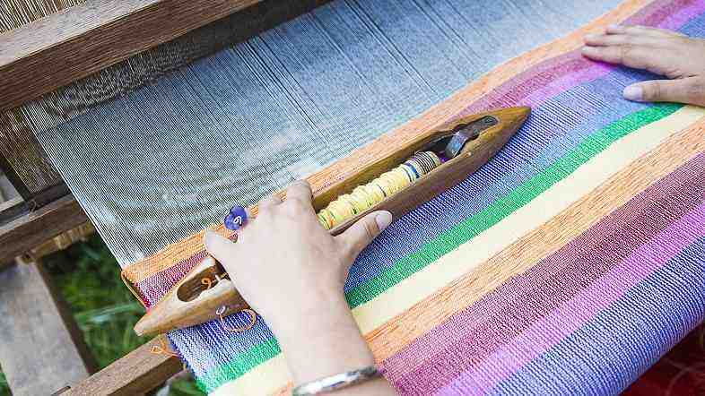 Chanvre utilisé pour la production de fibres textiles