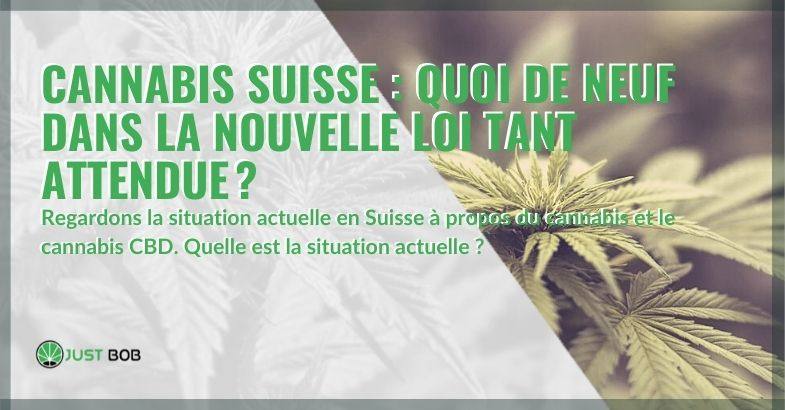 Quelle est la situation actuelle du cannabis light en Suisse