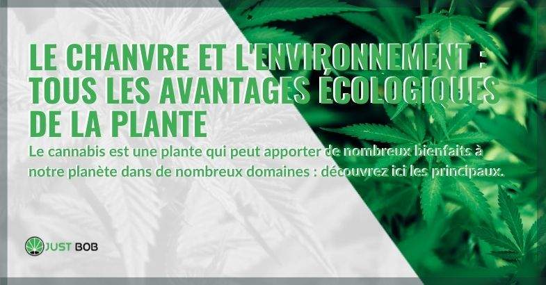 Tous les avantages que la plante de chanvre apporte à l'environnement