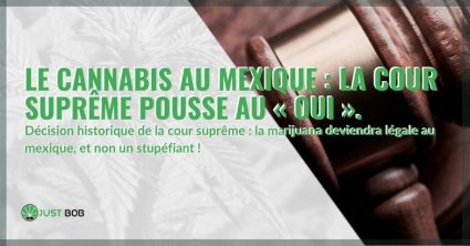 La marijuana sera bientôt légale au Mexique