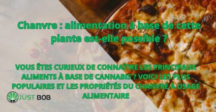 Chanvre : alimentation à base de cette plante est-elle possible ?