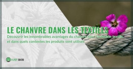 Découvrez les principales utilisations du chanvre dans le secteur textile et toutes ses propriétés