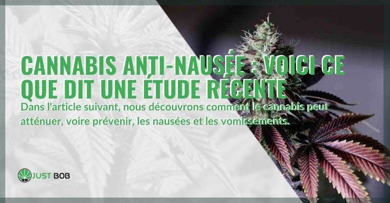 Découvrons comment le cannabis soulage et prévient les nausées et les vomissements