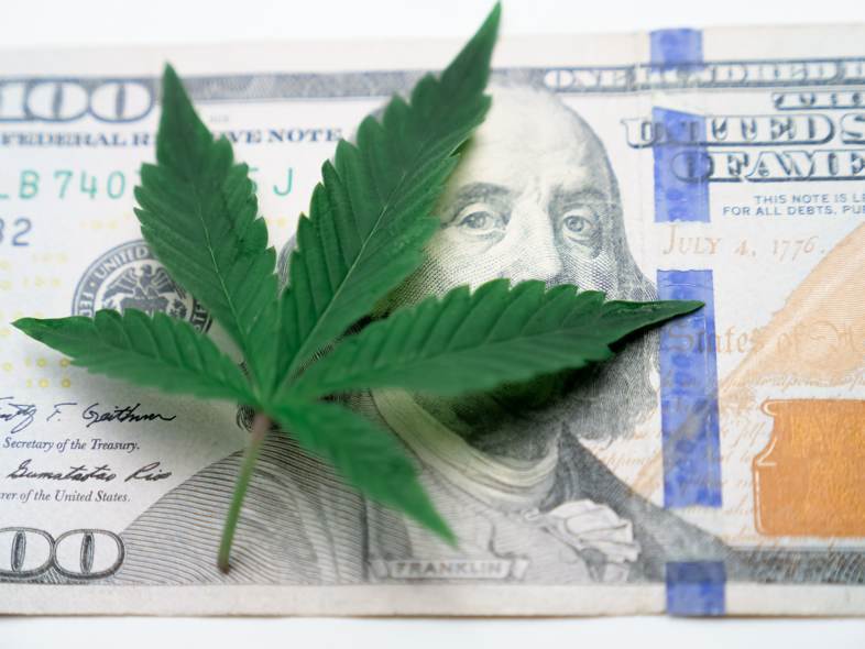 La légalisation du cannabis rapporterait plus de recettes fiscales