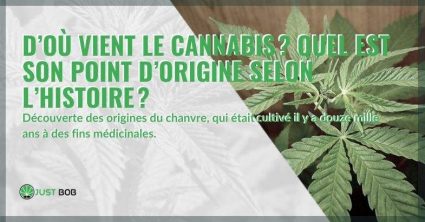 Origines du cannabis : déjà cultivé il y a douze mille ans à des fins médicales