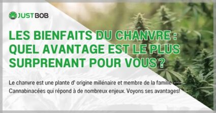 Les bienfaits du chanvre : quel avantage est le plus surprenant pour vous ?