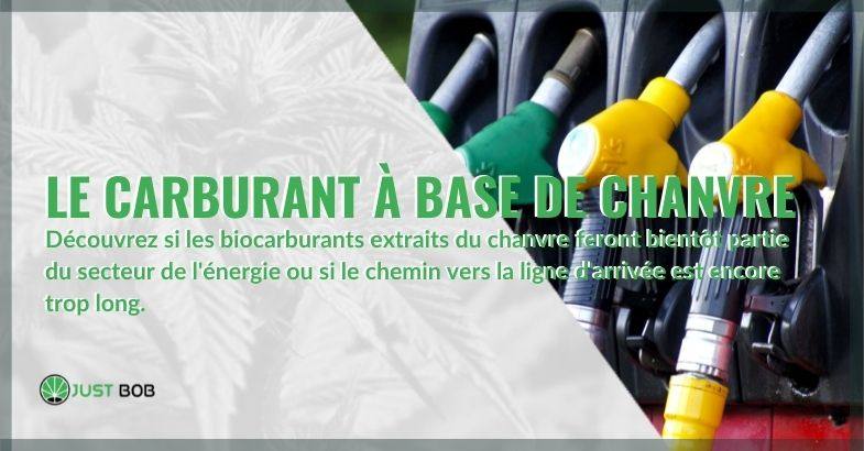 Le carburant à base de chanvre fera-t-il partie du secteur de l'énergie ?