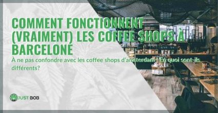 Comment fonctionnent réellement les Coffee Shops à Barcelone